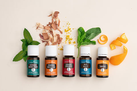 Young Living - reine ätherische Öle aus Dampfdestillation und Kaltpressverfahren ♥️