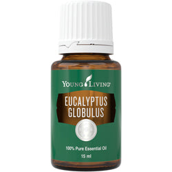 Young Living Eukalyptus Globulus (Eucayptus Globulus)