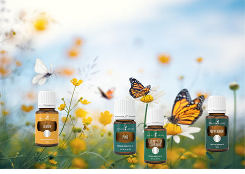 Ätherische Öle von Young Living