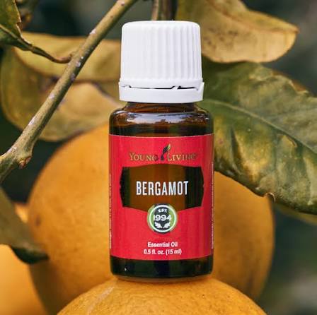 Young Living Bergamot - Premium Essential Oil 15ml