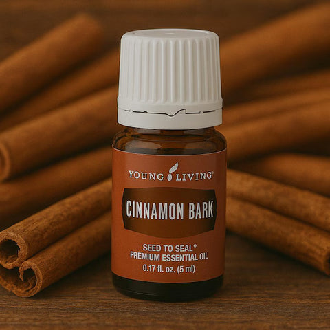 Cinnamon Bark (Zimtrinde) 5ml