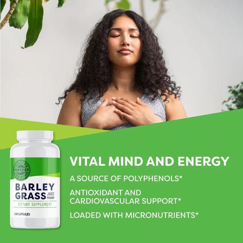 Vimergy® Gerstengrassaft Kapseln, Barley Grass Juice Caps, 240 Kapseln