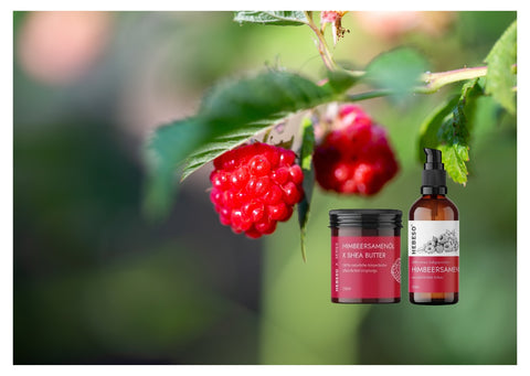 10% auf HEBESO Produkte mit dem Code: HEBESO10
